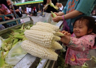 ​鲜黏玉米 一元一个