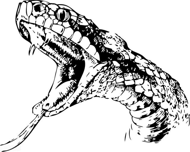 苗族巫蛊事件真相（苗族有蛊蛊物毒人）(12)