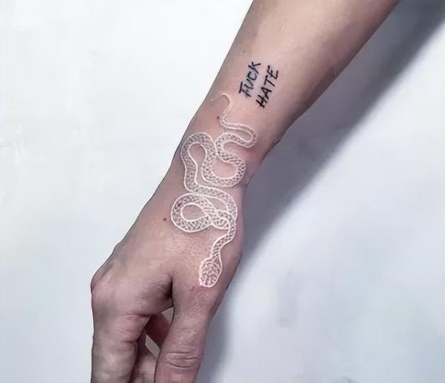 纹身隐形图案（鸽子血不一定能满足你）(9)