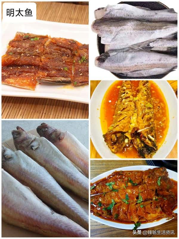 口感好的海鱼（十大最好吃的海鱼）