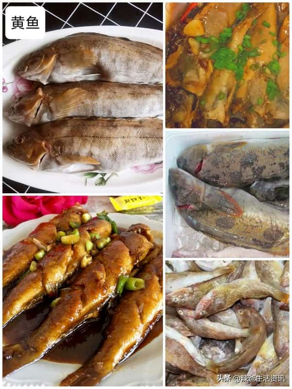 口感好的海鱼（十大最好吃的海鱼）