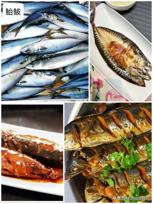 口感好的海鱼（十大最好吃的海鱼）