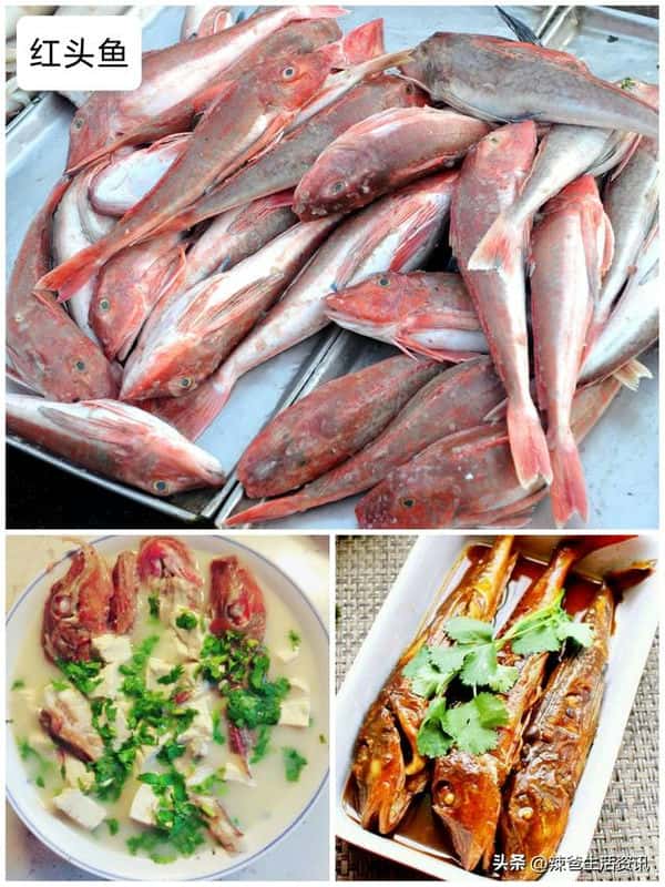 口感好的海鱼（十大最好吃的海鱼）