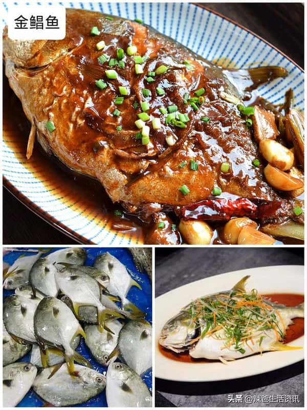 口感好的海鱼（十大最好吃的海鱼）