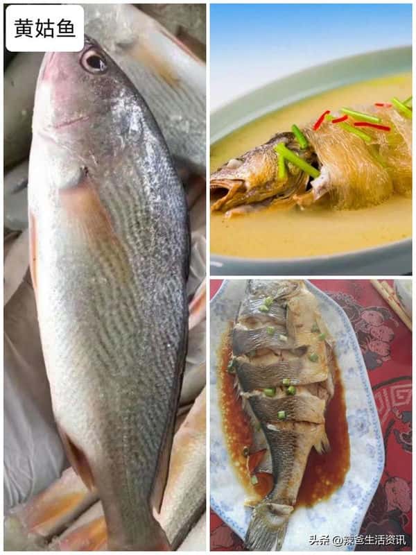 口感好的海鱼（十大最好吃的海鱼）