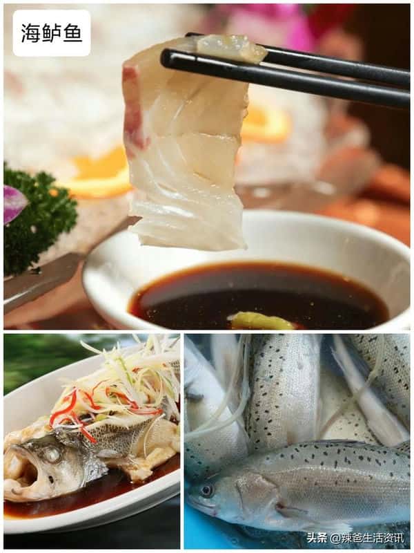 口感好的海鱼（十大最好吃的海鱼）