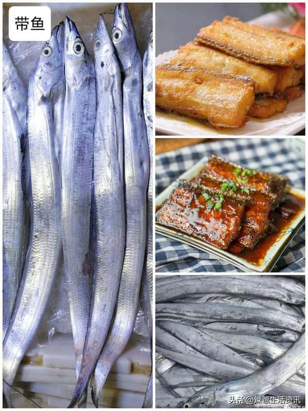 口感好的海鱼（十大最好吃的海鱼）