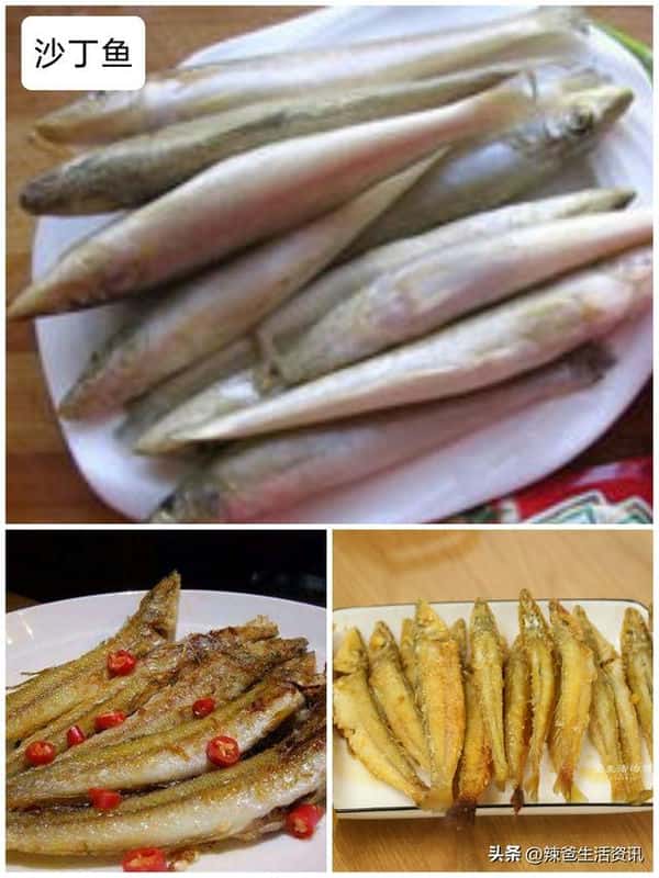 口感好的海鱼（十大最好吃的海鱼）