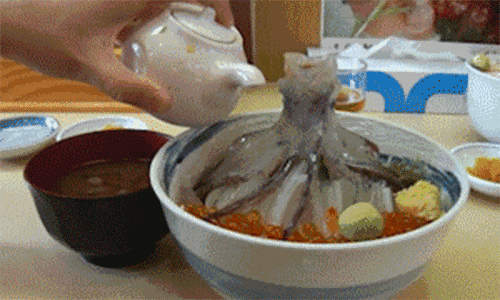 化学反应平衡图像详解(41个化学反应的动图)(20)