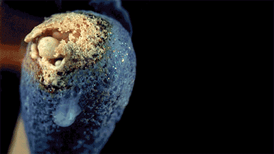 化学反应平衡图像详解(41个化学反应的动图)(28)