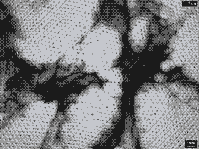 化学反应平衡图像详解(41个化学反应的动图)(15)