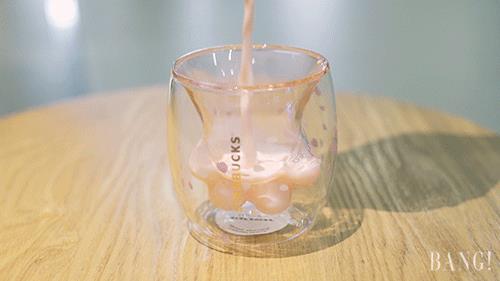 萌到窒息！星巴克樱花杯向你的钱包伸出“猫爪” |  文末福利