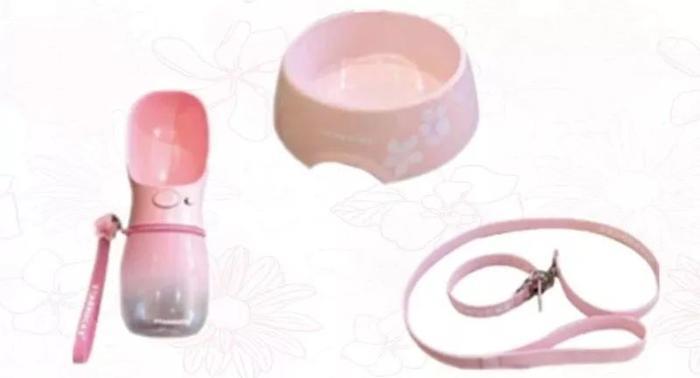 萌到窒息！星巴克樱花杯向你的钱包伸出“猫爪” |  文末福利