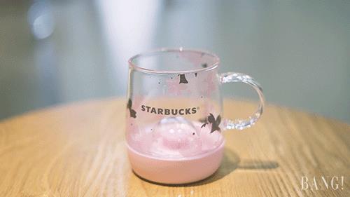 萌到窒息！星巴克樱花杯向你的钱包伸出“猫爪” |  文末福利