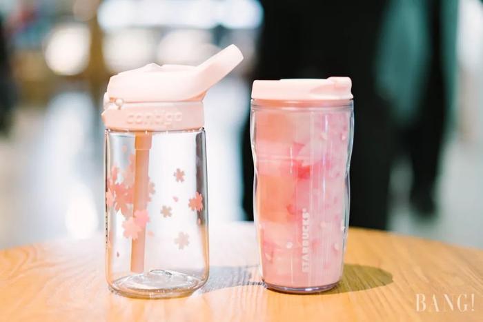 萌到窒息！星巴克樱花杯向你的钱包伸出“猫爪” |  文末福利