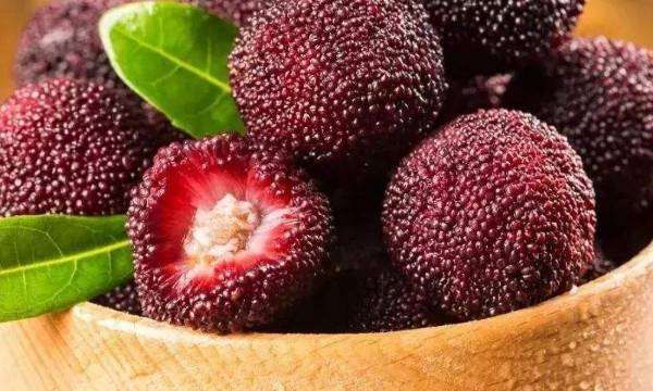 杨梅怎么保存时间长,杨梅上市的时间极短吗图9