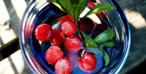 杨梅怎么保存时间长,杨梅上市的时间极短吗图2