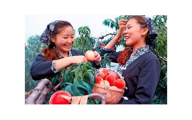 三岁宝宝被人贩子带走,危急时刻他说了两个字,救了自己一命! 三岁宝宝被人贩子带走,危急时刻他说了两个字,救了自己一命!