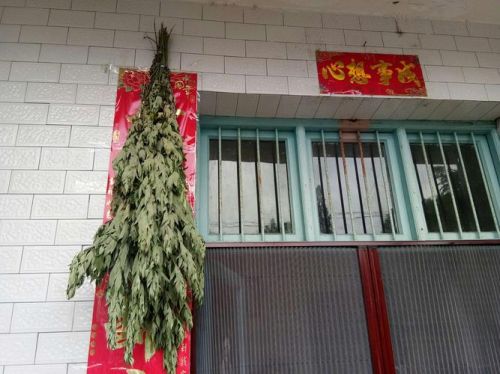 端午节门口挂艾草什么意思怎么放?(端午节门口插艾草的由来)-第1张图片-