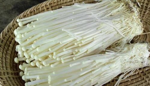 网络金针菇是什么意思