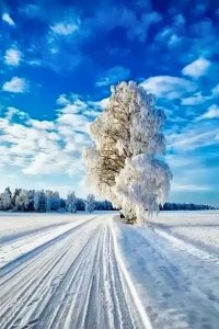 ​17个有稿费的投稿平台。