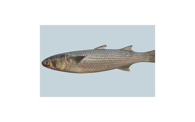 感情不和诉讼离婚需要什么证据呢