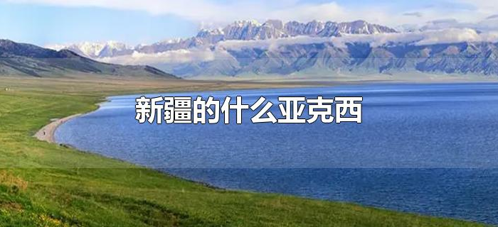 新疆的什么亚克西