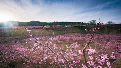 ​揭秘四月份必去的10个旅游胜地，快来一睹风景如诗！