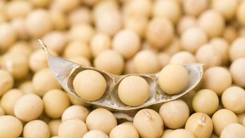 豆制品吃多了会不会发胖