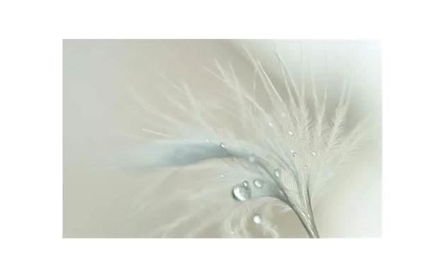 超级准!什么样的女人能锁住男人的心 超级准!什么样的女人能锁住男人的心