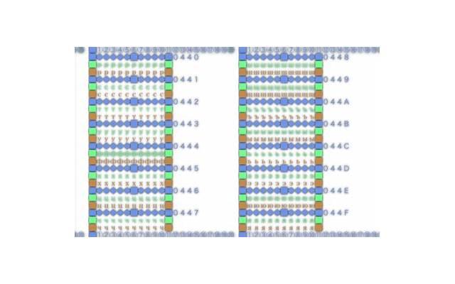 袁姗姗袁弘，路深地滑绕懵袁姗姗-袁弘点餐满汉全席