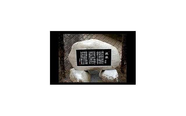  武汉投du事件曝光，背后的原因引人深思…