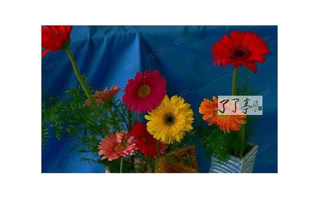 性生活以后到底该做些什么? 性生活以后到底该做些什么?