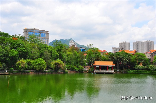 随拍公园 - 东莞 长安公园