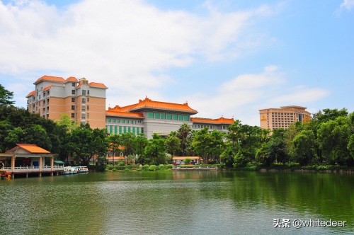 随拍公园 - 东莞 长安公园