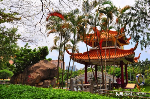 随拍公园 - 东莞 长安公园