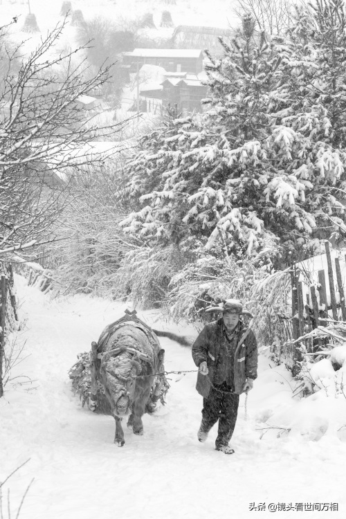 中国雪村吉林临江松岭,冰雪童话王国 你去过吗