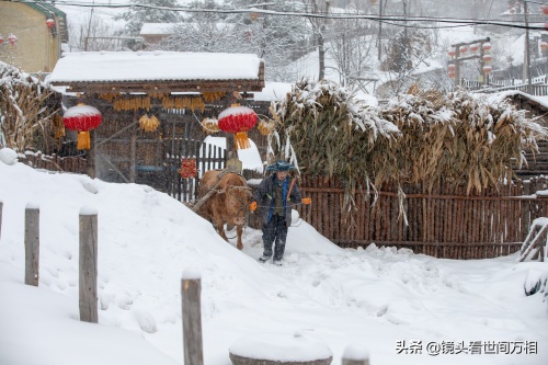 中国雪村吉林临江松岭,冰雪童话王国 你去过吗