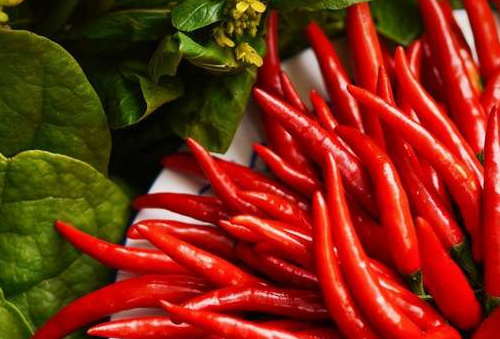 十大促进新陈代谢的食物 改善新陈代谢必吃的食物排名