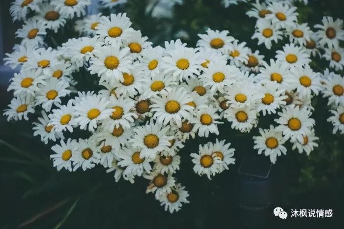 男人主动分手后的心态（男人分手后的想法是什么）