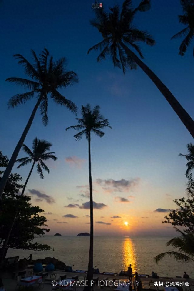 因《中餐厅》爆红的象岛，到底好不好玩？