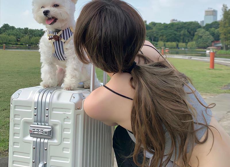 前列腺癌有哪些诊断方法？早期前列腺癌治疗预后效果好？