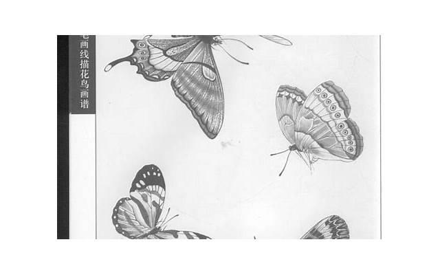 把跳d放在里面坐公交车（在公交车上被撞出了水消防）